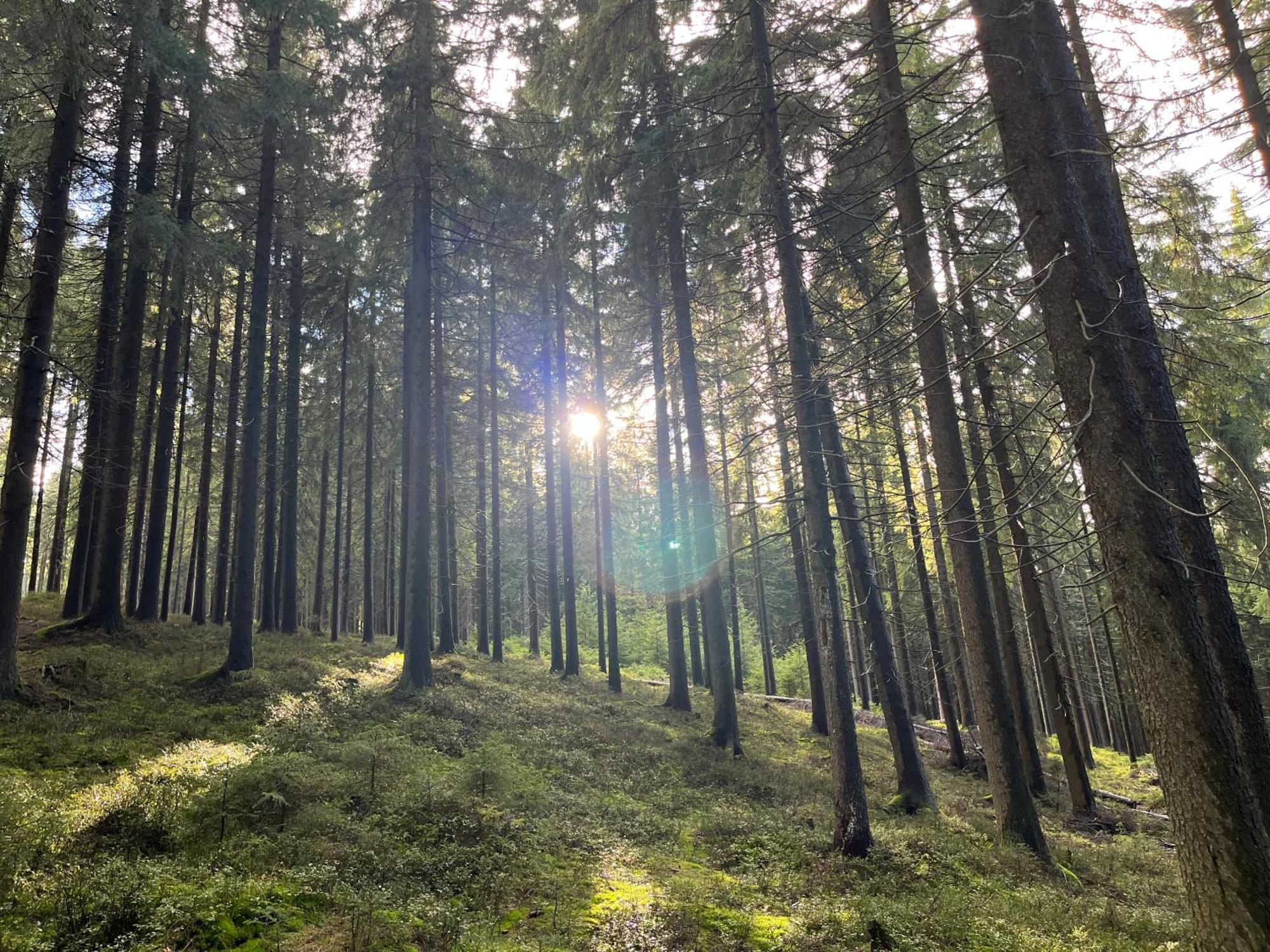 Roubenky Hrebecna Villa Kültér fotó